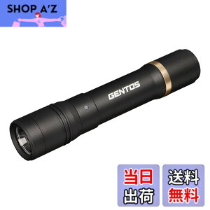 �y���������zGENTOS(�W�F���g�X) �����d�� LED���C�g �[�d�� 200~900���[���� ���N�V�[�h RX-285R/RX-286R/RX-304R/RX-386R/RX-486PB �F�F�u���b�N�A�T�C�Y�F���a30.1x150.4mm
