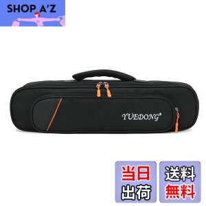 �y���������zMoonEmbassy �f�W�^���Ǌy��\�t�g�P�[�X,Roland AE-01 �G�A���t�H����p�o�b�O,�V�����_�[�X�g���b�v