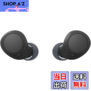 �y���������z�\�j�[(SONY) ���S���C�����X�C���z�� WF-C500/WF-C510 :/�����x�ʘb�i��/IPX4�h�H���\ �F�F�u���b�N�A�T�C�Y�F���^�y��