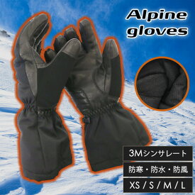 Alpine 手袋 メンズ レディース 耐久性 防寒 防風 保温 XS S M L グローブ バイク 暖かい 防寒 ツーリング 雪山 スキー スノボー 登山 キャンプ アウトドア スポーツ 正規品