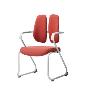 yVzy{Ɛ̔zfIobN DK-073W CeA`FA X^fB`FA JtF[`FA EW`FA p[\i`FA c֎q A[Xg xt[ DUOBACK Ki