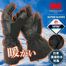 Alpine 手袋 メンズ レディース 耐久性 防寒 防風 保温 XS S M L グローブ バイク 暖かい 防寒 ツーリング 雪山 スキー スノボー 登山 キャンプ アウトドア スポーツ ゴルフ 新生活