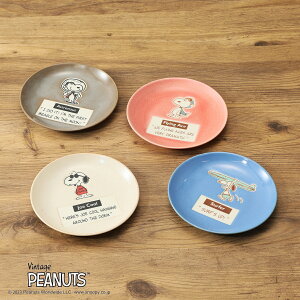 Xk[s[ v[g14cm 4Zbg ؔ yVbv`lz