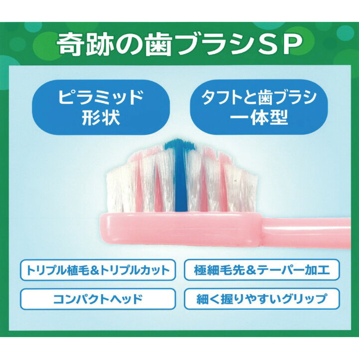 楽天市場】＼マラソン期間はP2倍!!／ 奇跡の歯ブラシSP 3色6本セット 