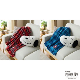 ＼楽天スーパーSALEは10%OFFクーポンセール／ スヌーピー クッションイン ブランケット 【ショップチャンネル公式】