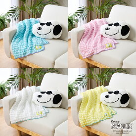 ＼楽天スーパーSALEは10%OFFクーポンセール／ スヌーピー クッションインケット 【ショップチャンネル公式】