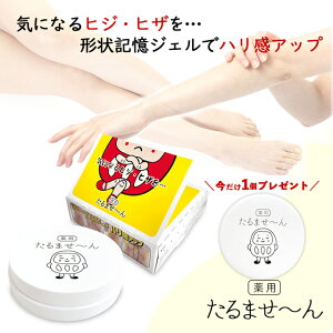 _{1v[g^qWEqUp p `LWF@p܂`@ ێ nAbv 򕔊Oi { yVFA z  kCEւ̔z