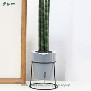 300~OFFN[| t[X^h ACA  {[v^[X^h K[fjO ԑ v^[  O I |bN V | u X  R[i[b