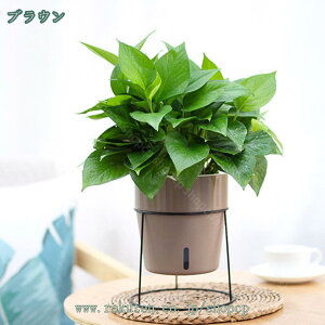 t[X^h ACA  {[v^[X^h K[fjO ԑ v^[  O I |bN V | u X  R[i[bN x_  