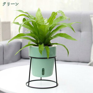 300~OFFN[| {[v^[X^h t[X^h ϗtA k |bN @\ ACA X`[ u Jo[ vX`bN TrȂ bN  ԑ AI 