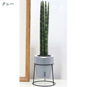 {[v^[X^h ubN X^h v^[bN ԑ AؔX^h  Jo[ v[g ϗtA A    O |bN AeB[N K