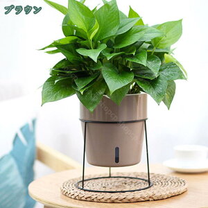 {[v^[X^h ubN |bgX^h t[X^h t ϗtA ACA X`[ u Jo[ v^[X^h AؔX^h t[ bN  ԑ A