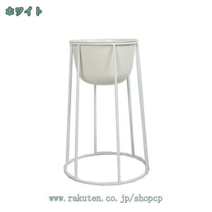 1000~OFFN[| t[X^h ACA   O p |bN v^[ u ԑ ϗtAX^h x_ oRj[ eX  K[fjObN fR