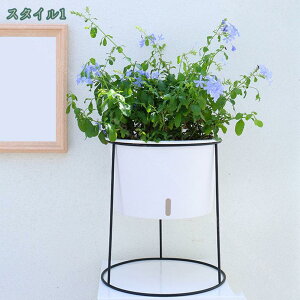 1000~OFFN[| {[v^[X^h ubN |bg X^h t[X^h ϗtA k ACA X`[ u Jo[ v^[X^h bN  ԑ AI 