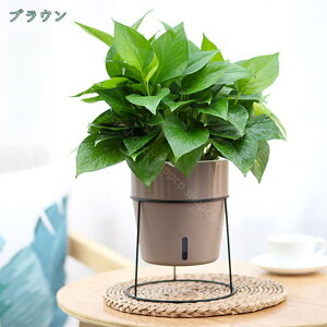 777~OFFN[| ACA v^[X^h ی^ ԑ ϗtA|bgX^h  O p  CeA ϗtA Jo[t t[|bgX^h  k i`