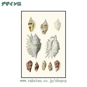 1000~OFFN[| EH[A[g pl Aj} C k Vv LoXG CeA|X^[ vg A[gpl rO[ Ƃ̑ t[  CeA A[g 