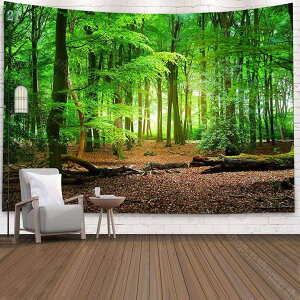 ^yXg[ i^yXg[ gt H H̖ ݂ Ǌ| Ԏd؂ a  H̗t CeA Q J[e Vzj v[g z[ ͗lւ CX^fOb