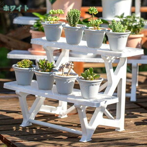 1000~OFFN[| t[X^h2i Cg 1 |bN K[fbN Vv v^[ ^ ~͒I AI t[bN   ~̓X^h v^[X^h 