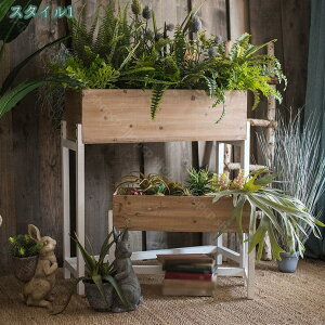 2000~OFFN[| Ebh t[X^h zCg ԑ  x_ K[f VRؐ ؐԑ ؐt[X^h [^ ` v^[ t[bN v^[{bNX  