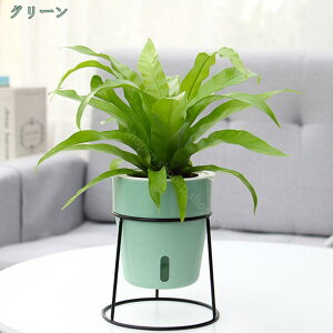 300~OFFN[| v^[X^h {[^ ubN _ ԑ t[X^h Op ϗtA u K[fjO | ƒ؉ A ؔ {[v^[ 