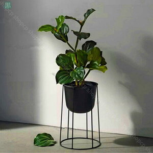 1000~OFFN[| v^[X^h t[{[^ ACA t[X^h  ԑ  O p K[fbN |X^h ϗtAX^h A u eX