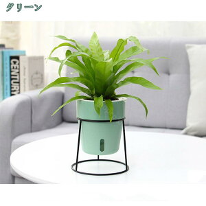 300~OFFN[| v^[X^h ubN ACA t[X^h ԑ ϗtA u _ k   OΉ K[fjObN JtF CeA V