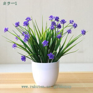 777~OFFN[| lHA p 2pbN ȐlHA ɓ~jlHA z[ItBX I _ oX[̑p ȐlHtFCNAA z[ ItBX t@[