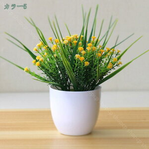 CeA O[ tFCNO[ 2pbN ȐlHA ɓ~jlHA lH ϗtA tFCN  A  e[ufR[V GAvc 킢 