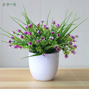 300~OFFN[| CeA O[ tFCNO[ 2pbN ȐlHA ɓ~jlHA lH ϗtA tFCN  A  e[ufR[V GAvc 