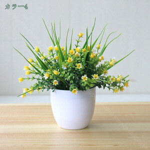 CeA O[ tFCNO[ 2pbN ȐlHA ɓ~jlHA lH ϗtA tFCN  A  e[ufR[V GAvc 킢 