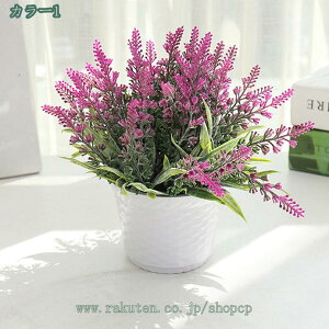 777~OFFN[|   nEX A ϗtA O[  tFCN ԑ I[ig U A A ͋[ A A lH  tFCN fR[V tFCN A A  A