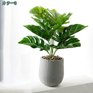 A tFCNϗtA z[fR[V fBi[e[u tFCNA ~ ~jA lHA lHO[A V~[VA tFCN[t tFCNKX fX