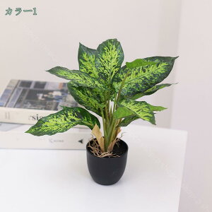 500~OFFN[| lHؔA ȋUA 36cm lHAAA  ItBX fXN Ap[g EFfBO e[ugbv ΎfR[V lH A A O[ ^