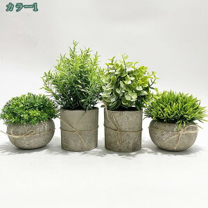 tFCNO[ 4_Zbg lHϗtA ϗtA tFCN ϗtA A  CeAO[  ϗtA CeA ̓ ̓v[g a tFCNO