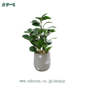 1000~OFFN[| tFCNO[ ϗtA lHϗtA  CeA AŐ̖ bsv v[g  CeA G lH tFCN O[   A A