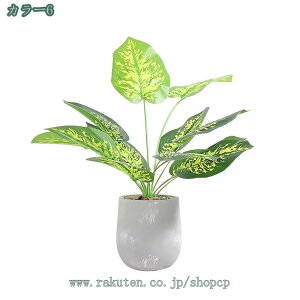 tFCNO[ ϗtA lHϗtA  CeA AŐ̖ bsv v[g  CeA G lH tFCN O[   A A t  M