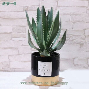 1000~OFFN[| O[ AȂ tFCNA AKx t[AWg eNX`[hH ƒ  O EFfBOp[eB[ K[f A  CeA lH