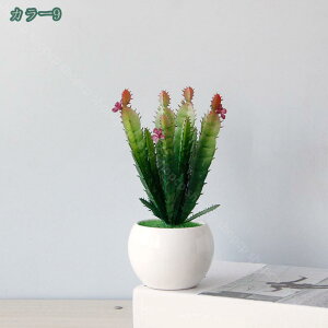 lHϗtA tFCNO[  T{e 񂹐A b̂Ȃ CeA Mtg tFCNO[ A  ϗt G} C L R  Q oX[ 