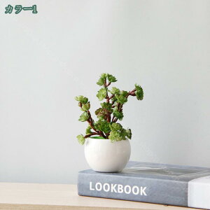 500~OFFN[| lHϗtA tFCNO[  T{e 񂹐A b̂Ȃ CeA Mtg tFCNO[ A  ϗt G} C L R  