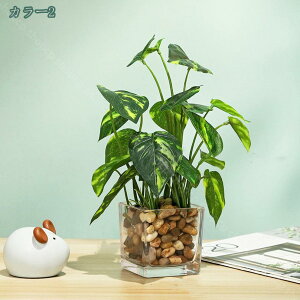 300~OFFN[| lHϗtA G} v~A  ϗtA ȒPb炸 tFCNO[ KX Xܑ ƒEItBXp CeAO[ sv tFCNO[