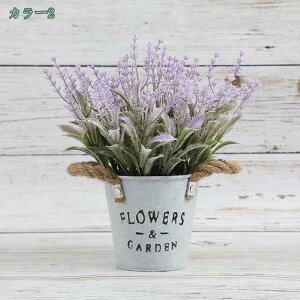 lHϗtA x_[̔Ả ȔA̐lHA lH~ ~͐Aؔ ΂̃e[uZ^[s[X̑ e[ufR[V Ȏ oPc̒̉ Ԃ̔A 