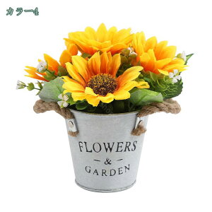 777~OFFN[| lHϗtA x_[̔Ả ȔA̐lHA lH~ ~͐Aؔ ΂̃e[uZ^[s[X̑ e[ufR[V Ȏ oPc̒