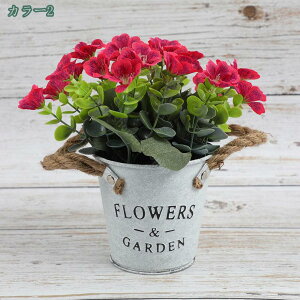 777~OFFN[| tFCNAA lHA lHA }J|bg vX`bNt[ ~  O z[ Lb` ItBX fXNgbv ̑  O z[ 