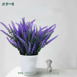 500~OFFN[| tFCN{^jJ U̖~͑i x_[ e[u~ ŮϗtA|bg lH؂̎} tFCN~ x_[AlH ͑A ~j`Ah[n 