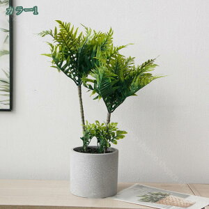 lHϗtA lHA  A CeA ~j~ tFCNO[  G  Mtg  lHϗtA  ϗtAtFCN^ v[g O[ xr[eBA