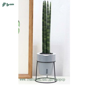 300~OFFN[| | {[v^[X^h v^[X^h ԑ t[X^h K[fbN K[fjO fR[VX^h v^[ I |bN V A