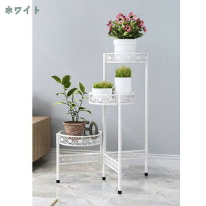 1000~OFFN[| t[X^h ԑ ACA 3i AeB[N ܂肽ݎ   O  x_ ^ X   S[hu |bN K[fjObN v