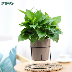 ボールプランタースタンド ブラック ポットスタンド 鉢置き 植物スタンド 花台 おしゃれ プランター置き 園芸ラック 花 ガーデニング 観葉植物 丸 ガーデン アイアンスタンド 北欧風 植物棚