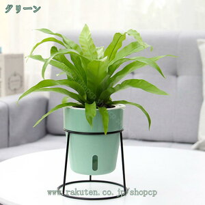 777~OFFN[| {[v^[X^h ACA  fR[VX^h K[fjO ԑ v^[  O I |bN V | u X  R[i