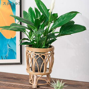 ؐ Jo[ O X^h X^h v^[X^h  v^[ ٕ҂  t[X^h  u ϗtA Aؔ  |bg t[bN rO  